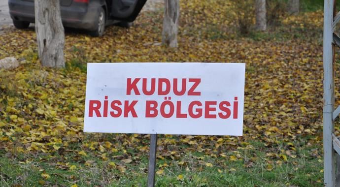 Tunceli&#039;de bir köy 6 ay kuduz karantinasına alındı
