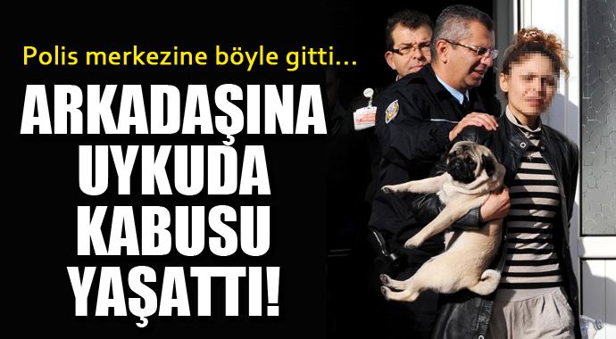 Kadın, polis merkezine kucağında köpeğiyle götürüldü Kadın, polis merkezine kucağında köpeğiyle götürüldü