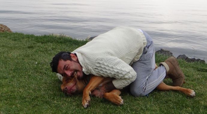 Tehlikeli olmadığını göstermek için pitbullunu ısırdı Tehlikeli olmadığını göstermek için pitbullunu ısırdı