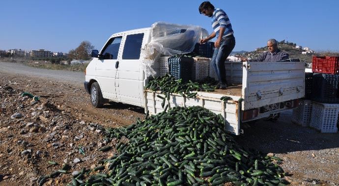 &#039;İçim sızlıyor&#039; dedi, 1 ton salatalığı çöpe döktü