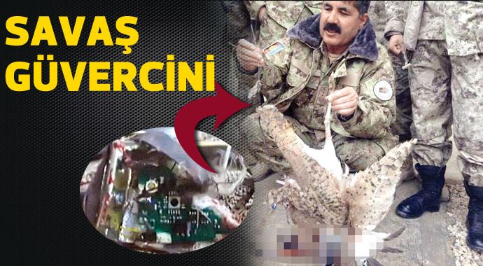 Taliban&#039;ın &#039;bombalı kuşu&#039; öldürüldü
