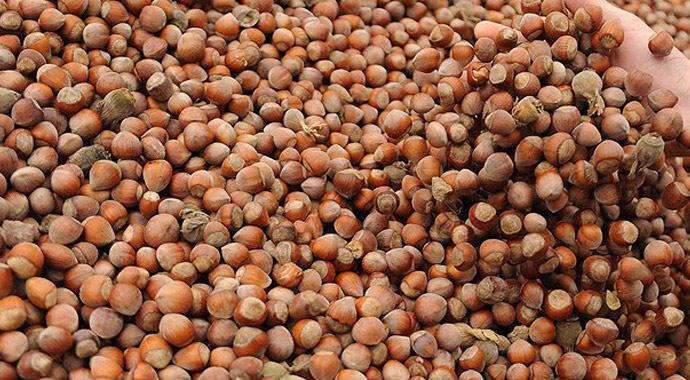 Kasım ayının zam şampiyonu fındık! Kasım ayının zam şampiyonu fındık!