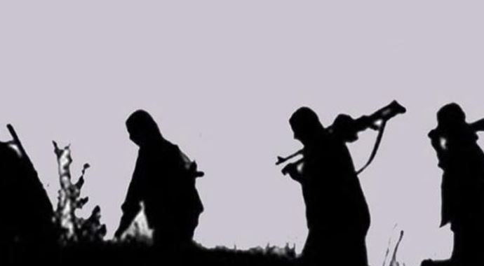 Şırnak&#039;ta 8 PKK&#039;lı teslim oldu