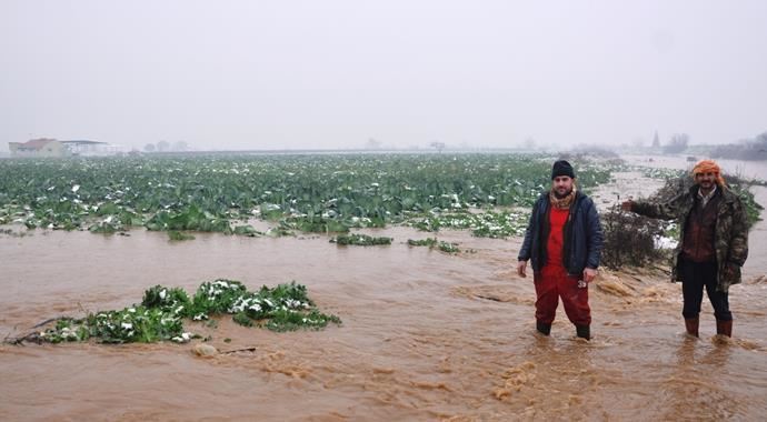 Gediz Nehri taştı, tarım arazileri su altında kaldı Gediz Nehri taştı, tarım arazileri su altında kaldı