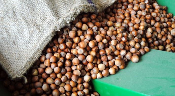 Oltan Gıda, İtalyan Ferrero'ya satıldı Oltan Gıda, İtalyan Ferrero'ya satıldı