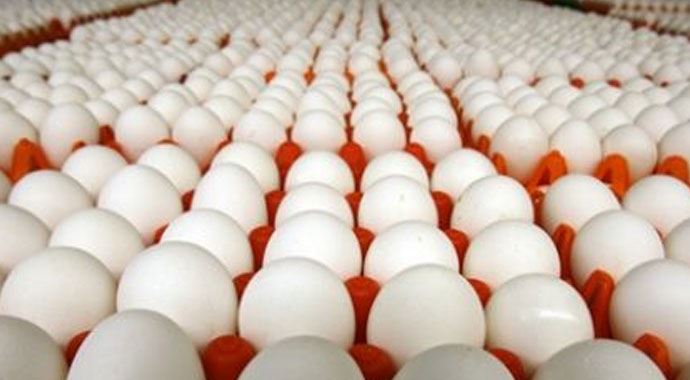 Tavuk ve yumurta ithalatı durduruldu! Tavuk ve yumurta ithalatı durduruldu!
