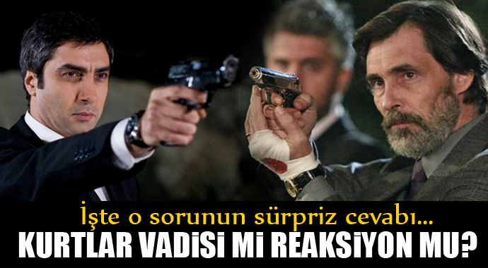 Kurtlar Vadisi Pusu mu, Reaksiyon mu? İşte o sorunun cevabı
