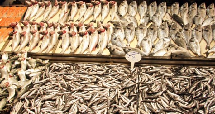 Balık fiyatları uçtu gitti Balık fiyatları uçtu gitti