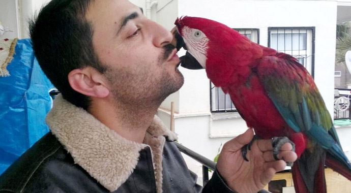 İtfaiyeden papağan yakalama operasyonu 