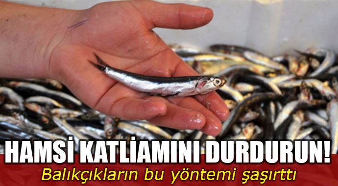 Hamside büyük katliam