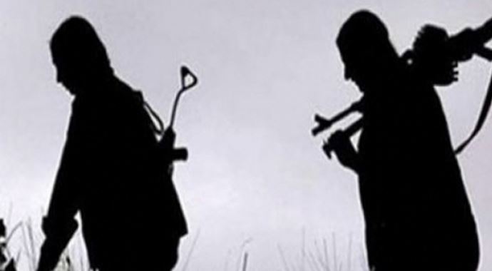 Ceylanpınar&#039;da 2 terörist yakalandı