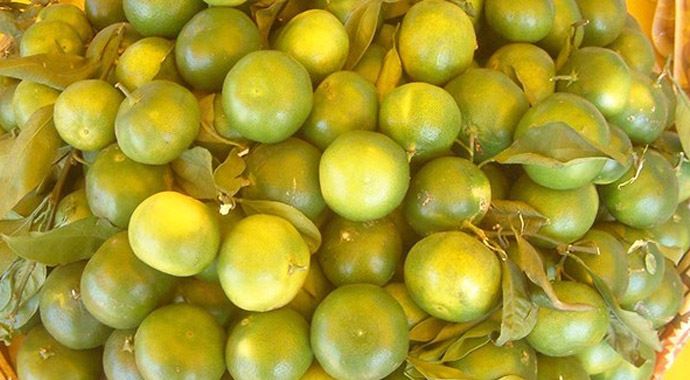 '25 kuruşa bile müşteri bulamıyoruz' '25 kuruşa bile müşteri bulamıyoruz'