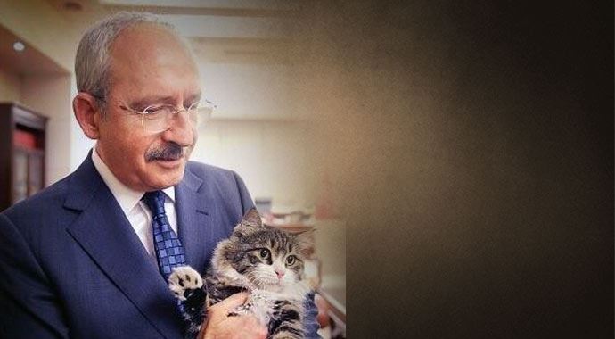 Kemal Kılıçdaroğlu, 'Dünya Kediler Günü'nü bu fotoğrafla kutladı Kemal Kılıçdaroğlu, 'Dünya Kediler Günü'nü bu fotoğrafla kutladı