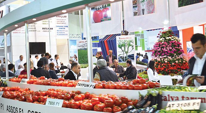İsrail&#039;e 3 günde bir 1550 ton sebze-meyve