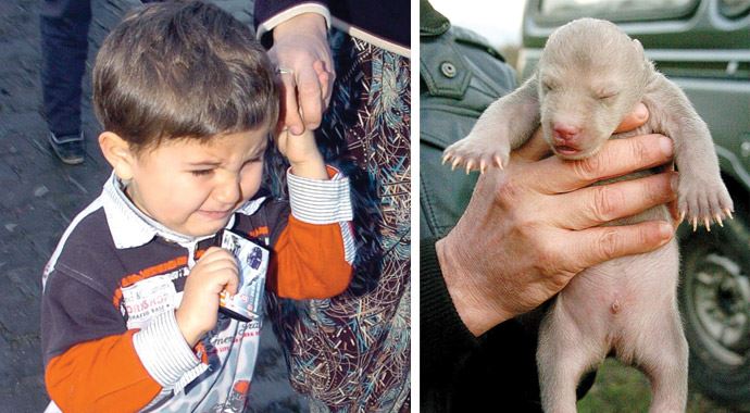 Oyuncak ayı zannetti! 'O benim ayım' diye feryat etti Oyuncak ayı zannetti! 'O benim ayım' diye feryat etti