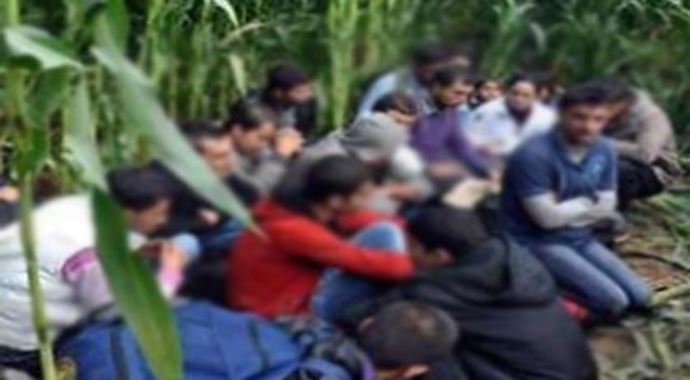 Sınırda 'insan kaçakçılığı' operasyonu