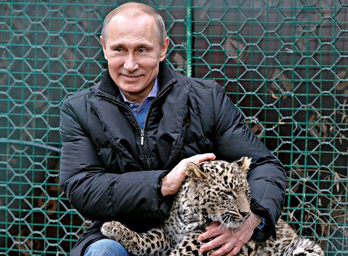 Cesur yürek Putin, Leoparı kedi gibi sevdi