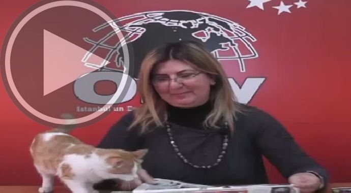 Canlı yayında kedi sürprizi Canlı yayında kedi sürprizi