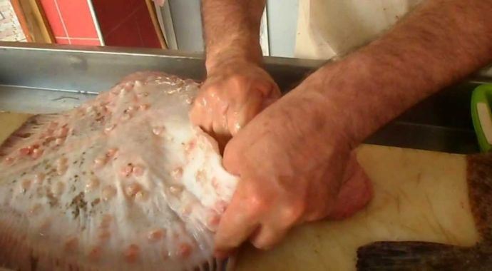 Kalkan balığının fiyatı dudak uçuklattı