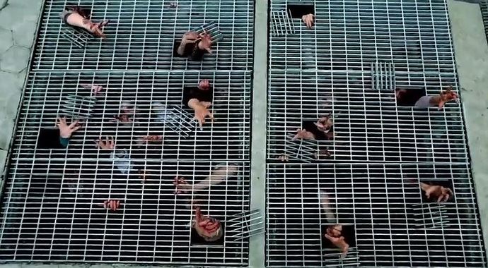Walking Dead'in korkunç şakası yürekleri ağza getirdi Walking Dead'in korkunç şakası yürekleri ağza getirdi