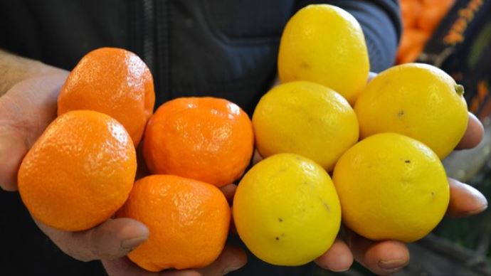 İşte geçen ayın zam şampiyonu mandalina oldu