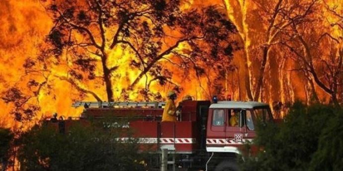 Antalya'da 1 hektarlık orman kül oldu