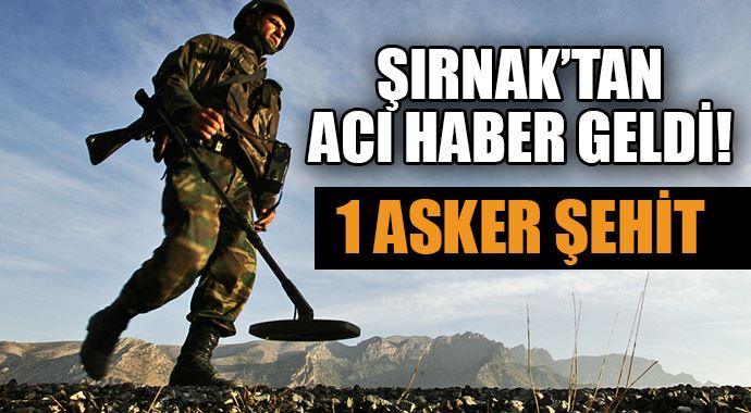 Şırnak'ta mayın patladı! 1 şehit Şırnak'ta mayın patladı! 1 şehit