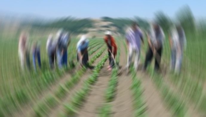 Çiftçiye 17 Aralık darbesi Çiftçiye 17 Aralık darbesi