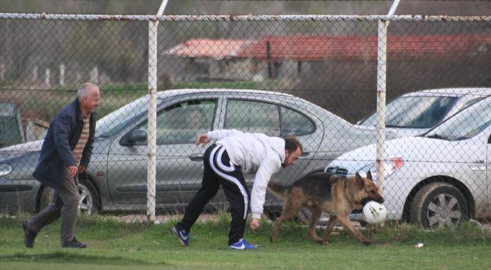Maçta sahaya giren köpek topu kimseye vermedi
