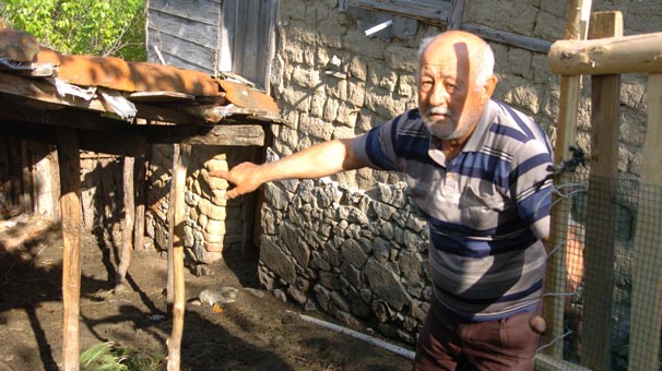 Köylülere saldıran tilkiler kuduz çıktı