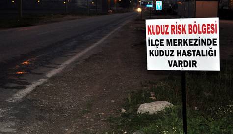 Burdur'da kuduz karantinası Burdur'da kuduz karantinası