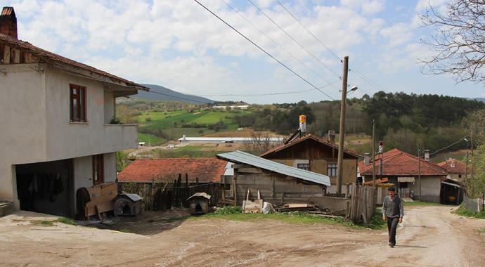 Bolu'da iki köye kuduz karantinası