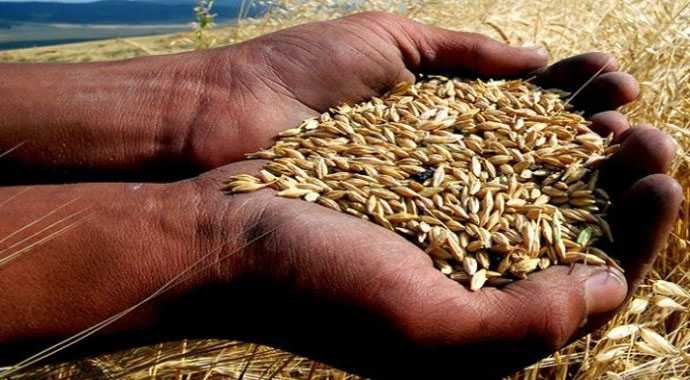 Çiftçinin son umudu Mayıs yağışları Çiftçinin son umudu Mayıs yağışları