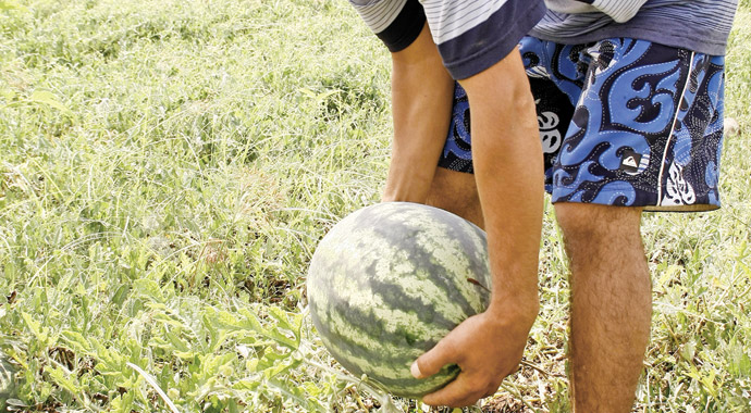 İran&#039;dan getirip Adana karpuzu diye satıyorlar