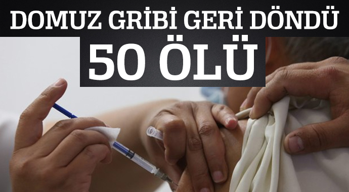 Domuz gribi geri döndü: 50 ölü