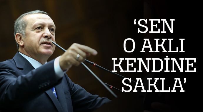 Erdoğan'dan Almanya Cumhurbaşkanı'na sert cevap