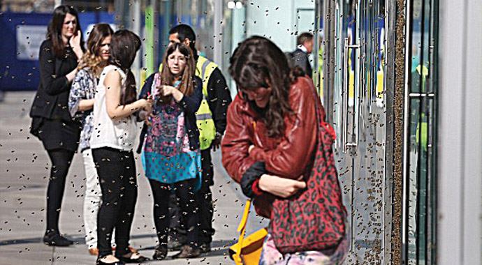 Şoke eden istila! Londra&#039;da arı paniği