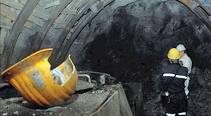 Onlar, her yıl milyonlarca evi ısıttı Onlar, her yıl milyonlarca evi ısıttı