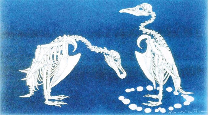 Hideo Takeda'nın Gece Yolculukları Hideo Takeda'nın Gece Yolculukları