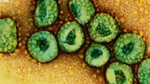 Mers virüsü İngiltere&#039;ye sıçradı