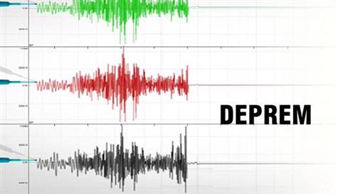 Pakistan'da 4,6 büyüklüğünde deprem