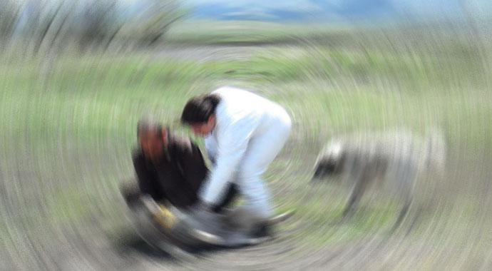 Çorum'da kuduz paniği Çorum'da kuduz paniği