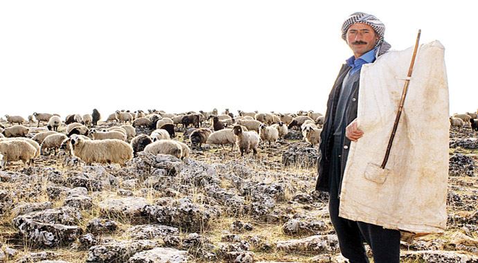 Küçük çiftçiye büyük destek Küçük çiftçiye büyük destek