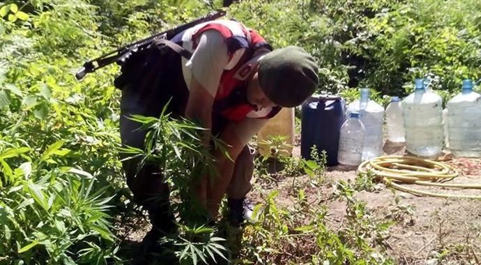 Jandarma uyuşturucu kaçakçılarına geçit vermiyor