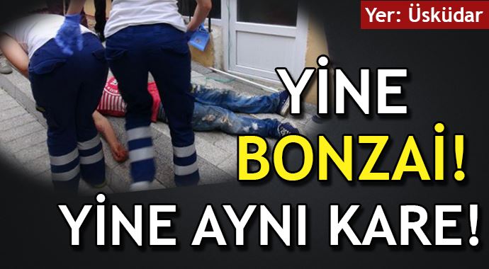 Yine bonzai! yine aynı kare! Yine bonzai! yine aynı kare!