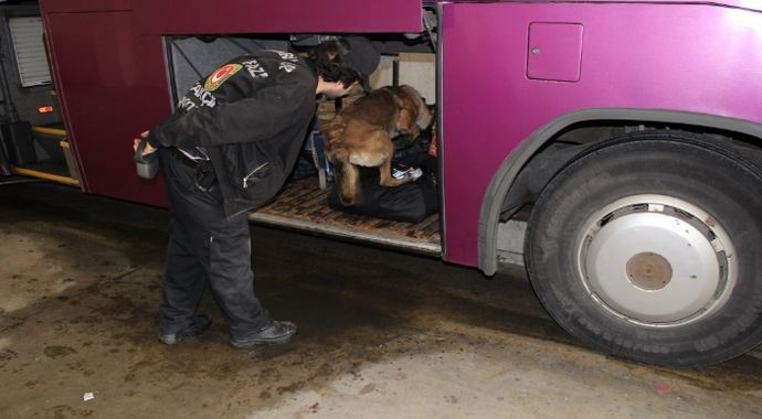 Yolcu mu taşıyorsun uyuşturucu mu ?