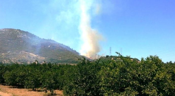 İzmir'de orman yangınları