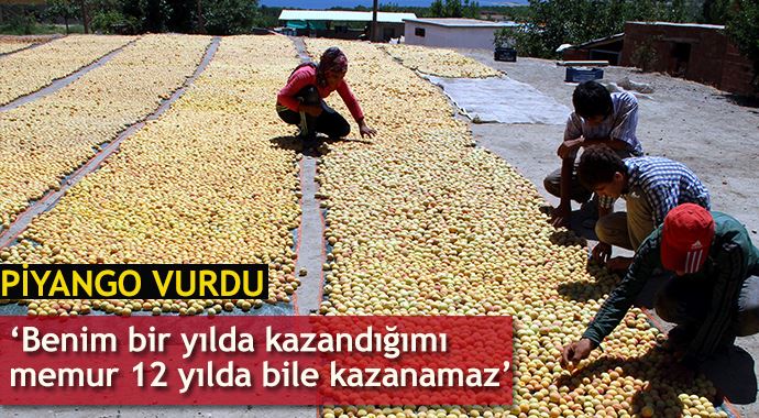 Karakaya kıyısındaki kayısı üreticilerine 'piyango' vurdu