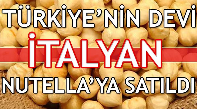 Türkiye'nin fındık devi Oltan Gıda İtalyan Ferrero'ya satıldı Türkiye'nin fındık devi Oltan Gıda İtalyan Ferrero'ya satıldı