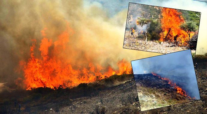 Bodrum'da orman yangını